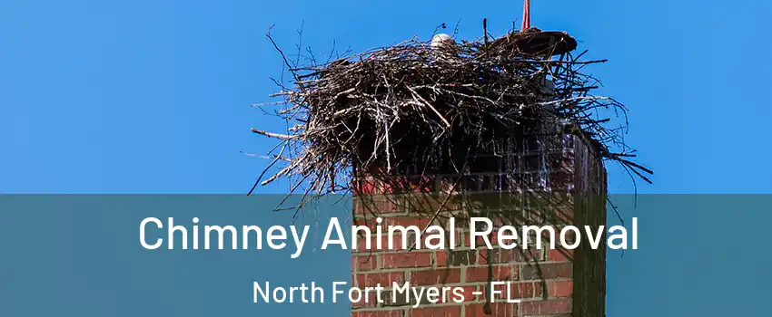 Chimney Animal Removal North Fort Myers - FL