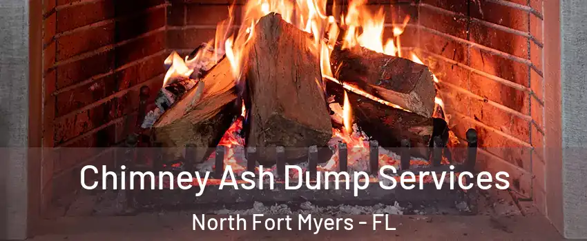  Chimney Ash Dump Services North Fort Myers - FL