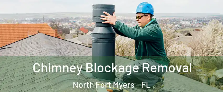  Chimney Blockage Removal North Fort Myers - FL