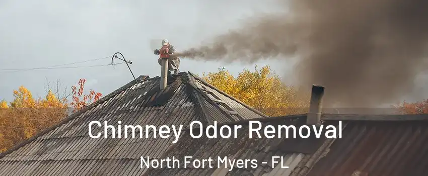  Chimney Odor Removal North Fort Myers - FL