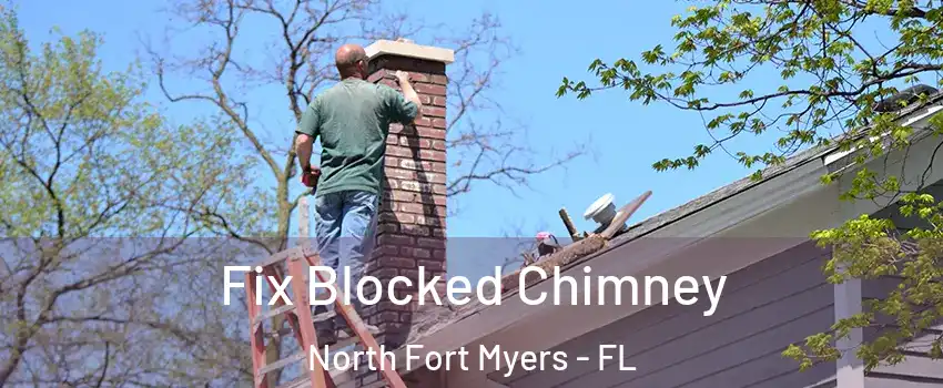  Fix Blocked Chimney North Fort Myers - FL