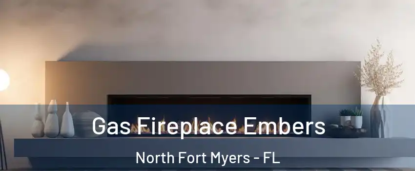  Gas Fireplace Embers North Fort Myers - FL