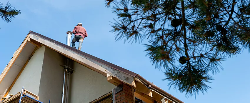 Birds Removal Contractors from Chimney in North Fort Myers, FL