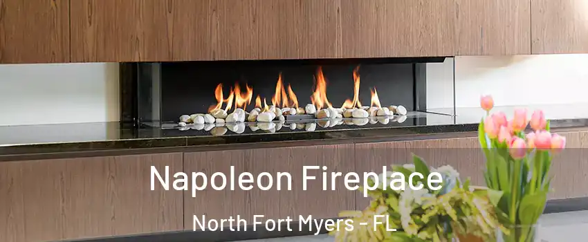  Napoleon Fireplace North Fort Myers - FL